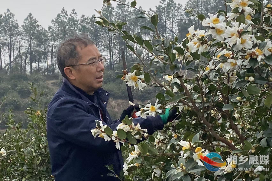 【代表风采】刘华柱：返乡种植油茶 助力乡村振兴