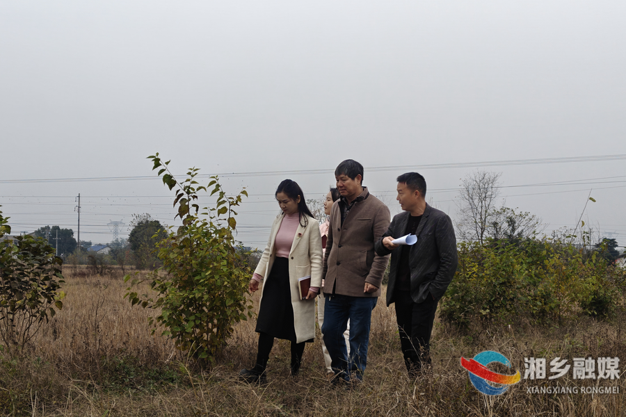 【委员风采】罗立新：头雁引领强担当 强村富民守初心