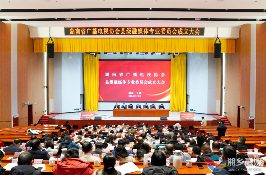 百家县融是一“家”！湖南省广播电视协会县融专委会成立