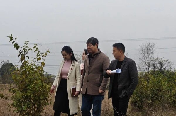 【委员风采】罗立新 | 文爱华