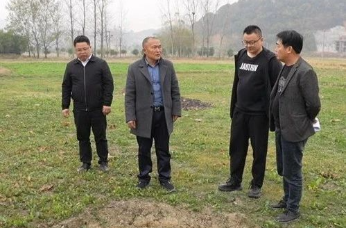 【代表风采】陈青生 | 龚蕾