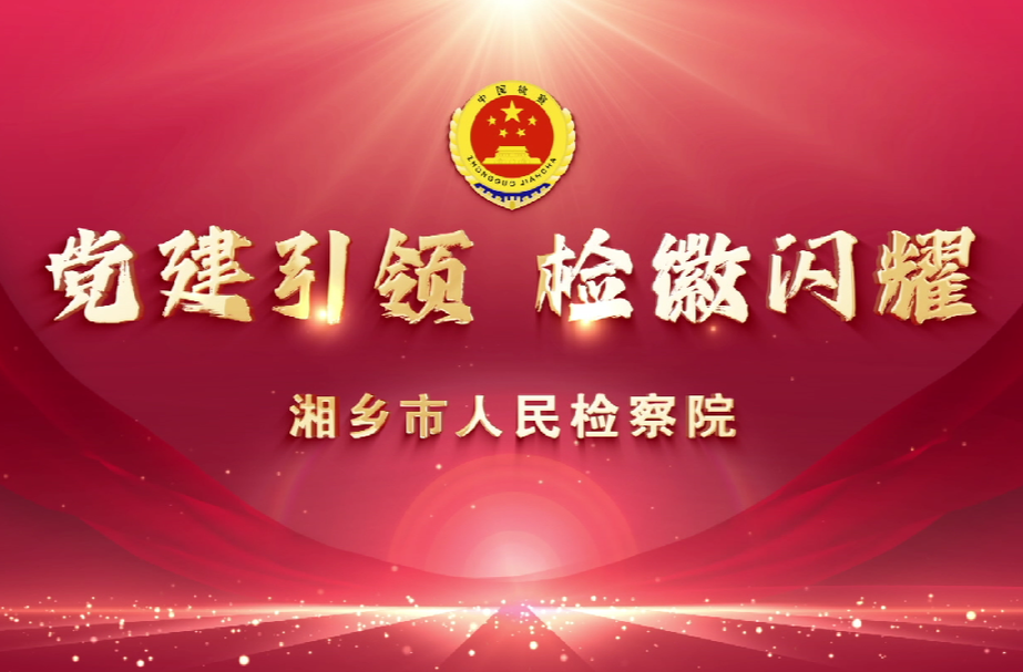 党建引领 检徽闪耀