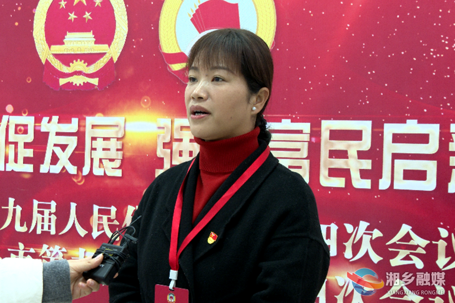 【两会声音】代表委员热议政府工作报告：锚定目标 笃行实干