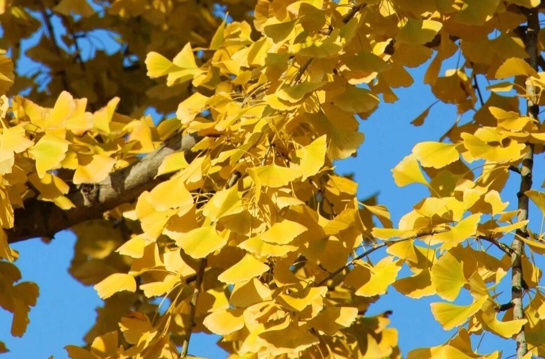 叮~湘乡本周天气预报来了，请查收……