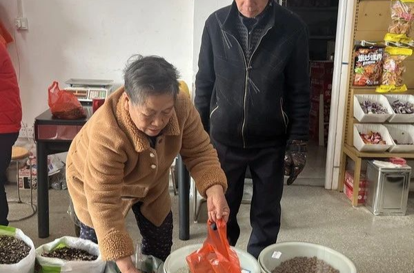 小炒货成就大产业！湘乡这个乡镇凭实力“出圈”