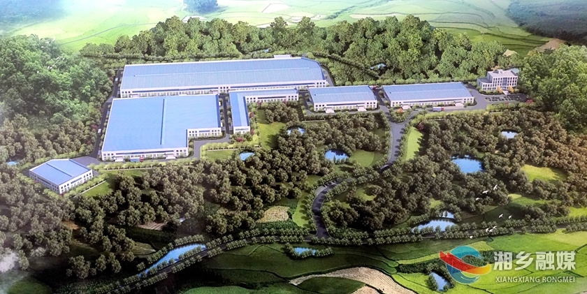 湘乡市全竹循环绿色产业建设项目开工