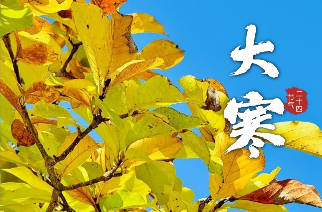 今日大寒 | 霜雪染尽，静候春归！