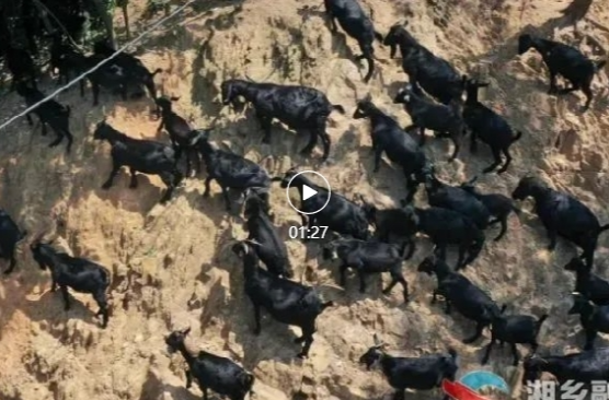 湘乡年夜饭硬菜，这道宝藏美食值得尝尝！