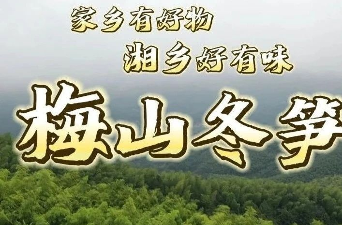 家乡有好物 湘乡好有味 | 梅山冬笋