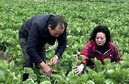 深耕农业34年，他是湘乡大地上的“农技尖兵”