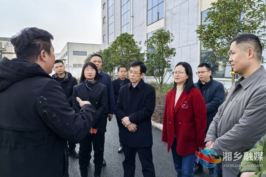 胡忠威到湘乡调研乡村特色产业发展和文旅项目建设