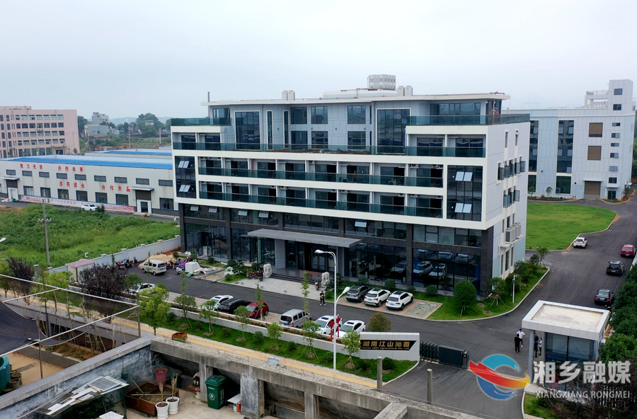 湘乡“95后”海归返乡 逐梦“油茶王国”