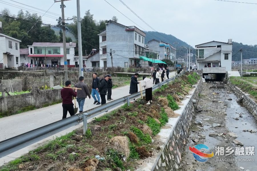 【我爱湘乡我的家】春风催新绿 植树正当时
