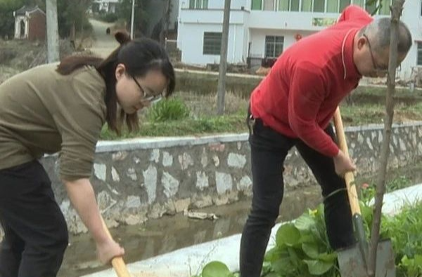 春风催新绿，梅桥镇这些画面“植”得定格