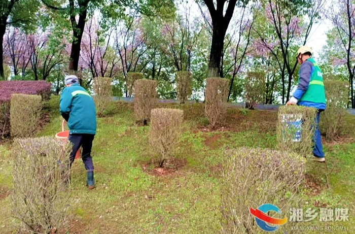 [城管局]抢抓春季好时节 “城市园丁”忙施肥