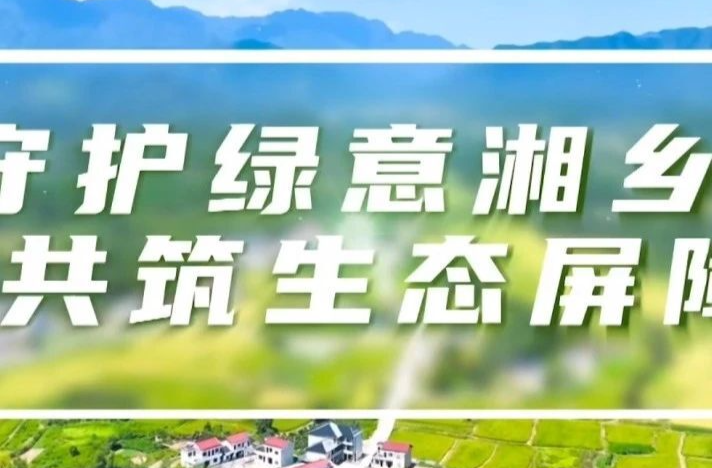 守护绿色屏障！湘乡在行动……