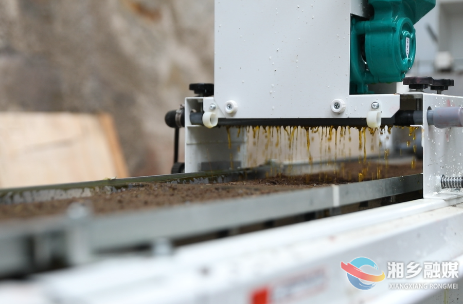 解锁黑科技！智能化育秧跑好湘乡春耕“第一棒”