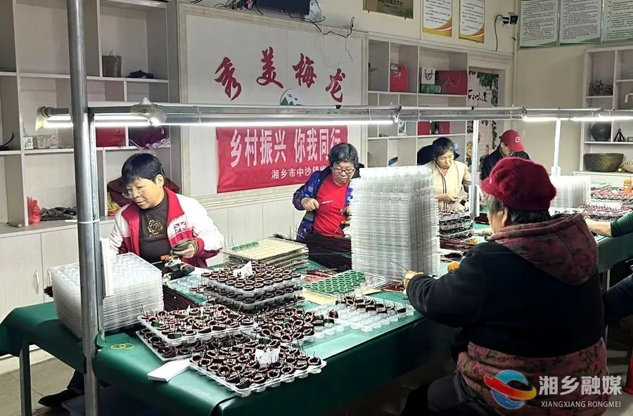 “引企入村” ！看中沙镇梅龙村如何带动群众就业增收