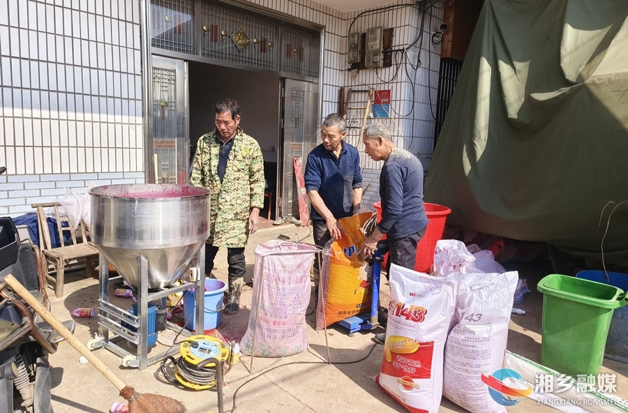 【春好正是耕种时】东山街道：深耕沃土筑“粮”基 擘画振兴“丰景图”
