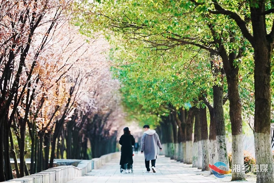 【龙城春色】满城花开春意浓 踏青赏景正当时