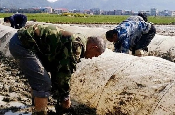 专业化集中育秧，东山街道春耕生产冲刺“开门红”！