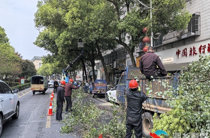 [城管局]及时修剪树枝 确保通行安全