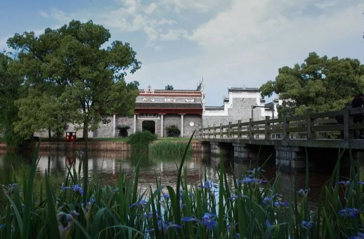 时光激荡，岁月情深｜《我与东山的故事》征文启事