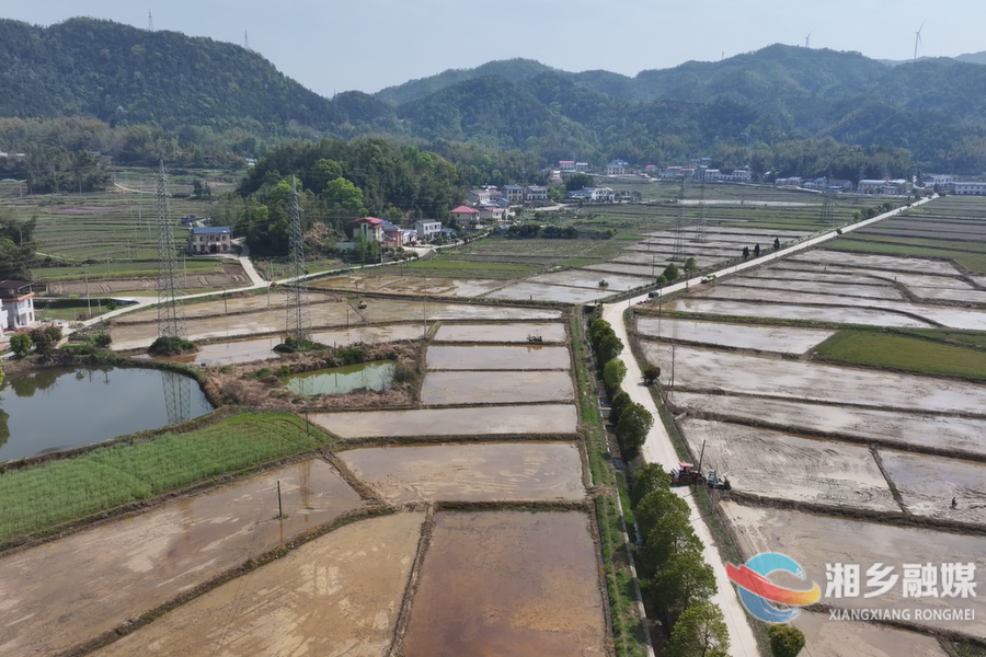 【春好正是耕种时】湘乡：40万亩早稻插秧全面展开
