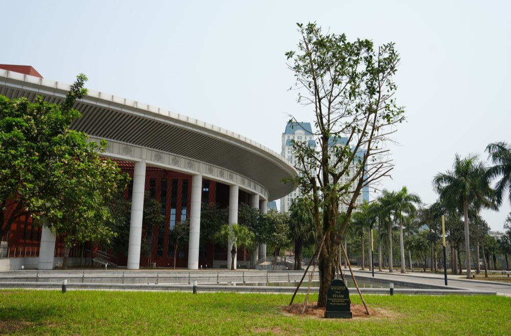 心相近｜“中越友好的根基在人民”——习近平主席引领推动中越传统友谊恒久常新