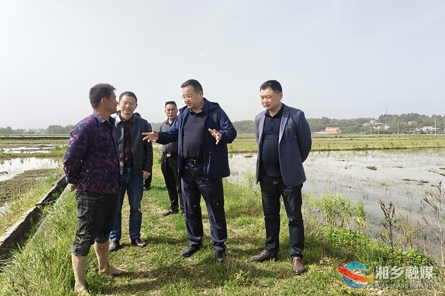 三听三问 | 郭勇调研春耕备耕工作时指出：科学施策 全链提质 筑牢全年粮食丰收根基