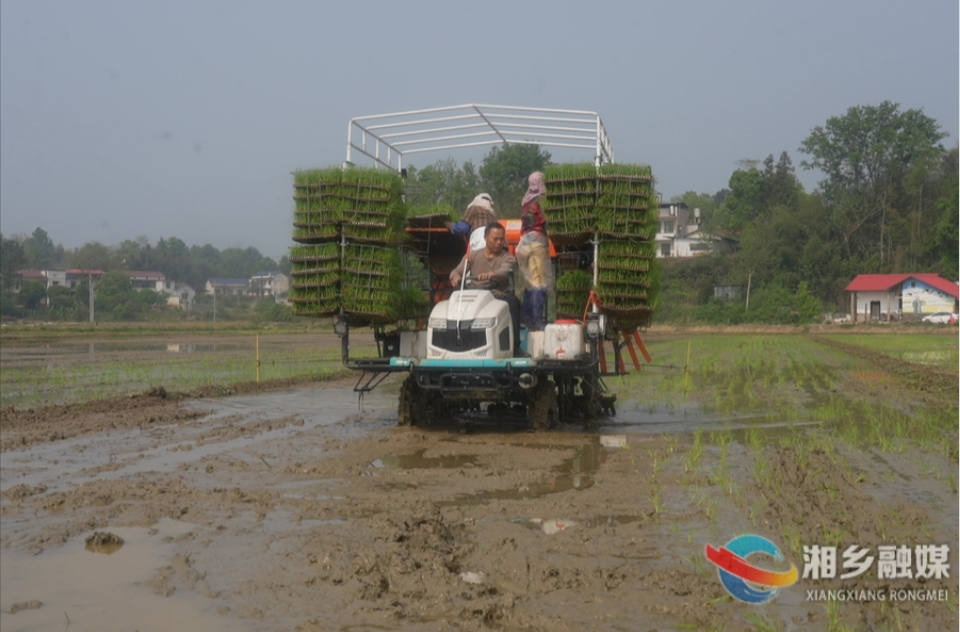 来吧，展示！湘潭市水稻生产机械化现场演示活动在湘乡举行