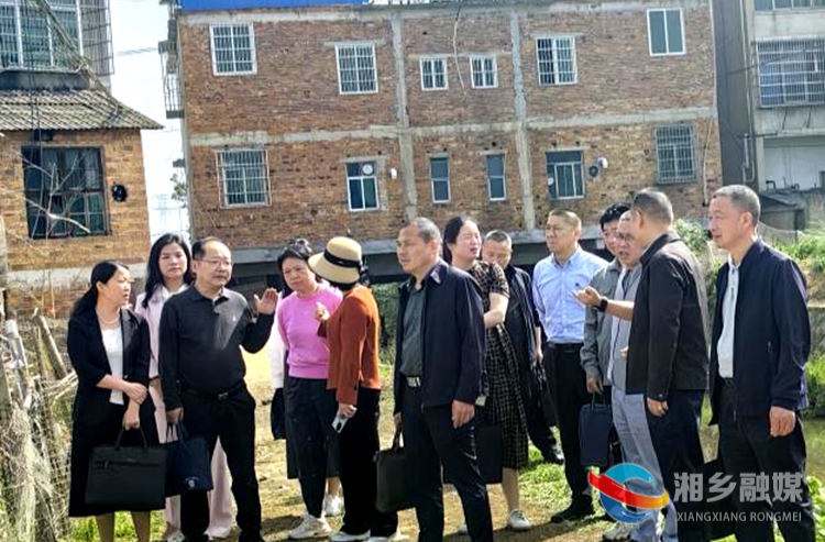 [金薮乡]密切“两个联系” 推动代表建议高质量办理