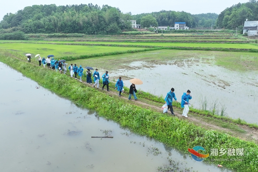 【新闻特写】泉湖片区第二届农耕文化节：中外青年沉浸式体验农耕文明 追寻红色印记