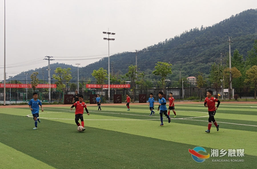 湘乡市2025年"农行杯"青少年校园足球联赛燃动春日