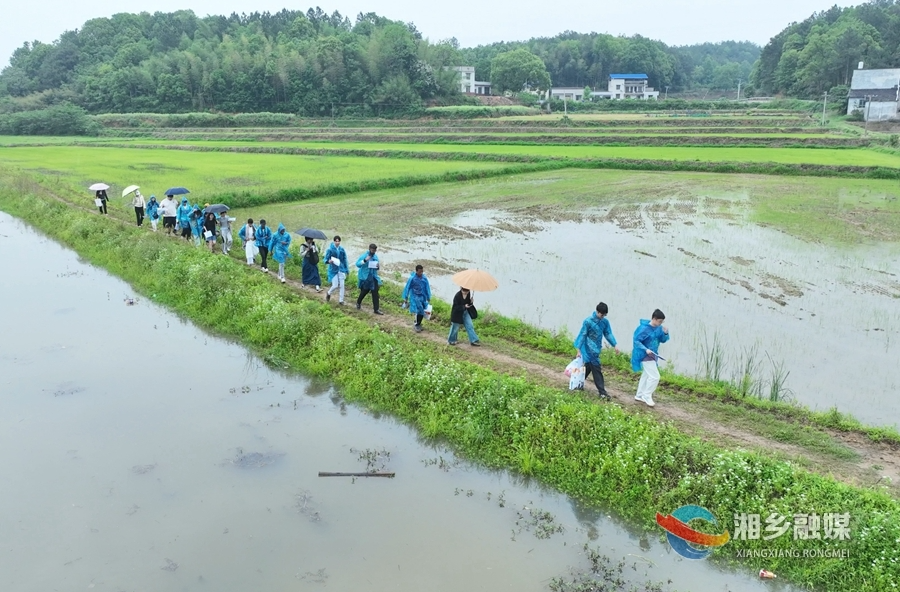 【新闻特写】泉湖片区第二届农耕文化节：中外青年沉浸式体验农耕文明 追寻红色印记