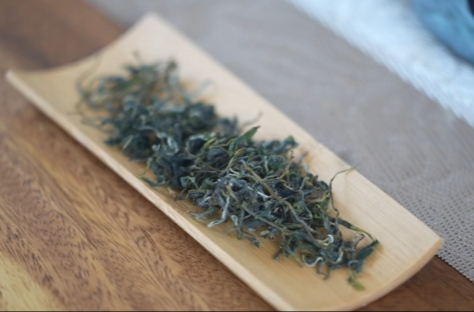 走！去毛田镇寻一口500年的茶香