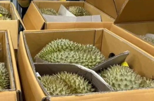 已到1600吨！“果中贵族”马上降价？