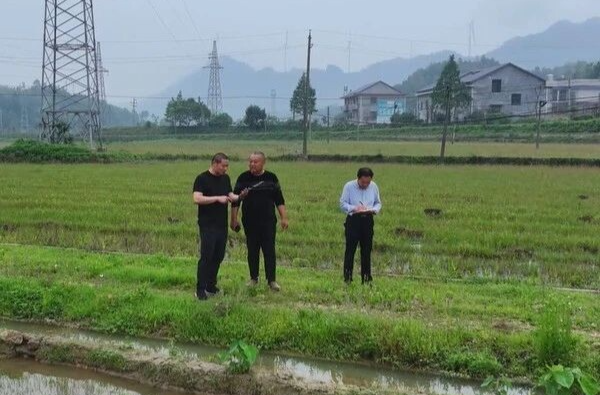 打通民意征集“最后一公里”！湘乡基层立法点让“好声音”化作“金点子”