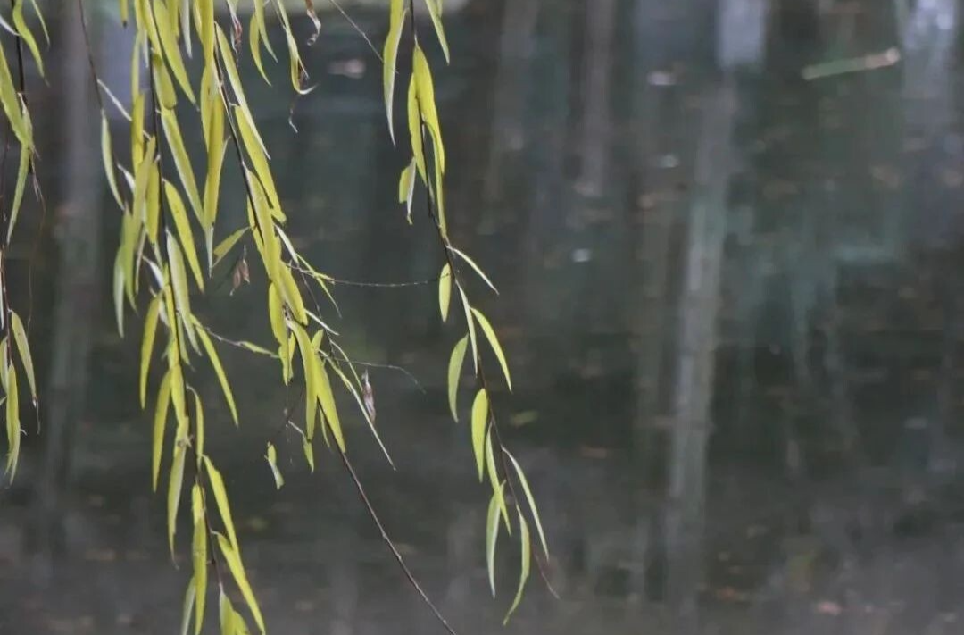 湘乡人请注意！暴雨又要来…