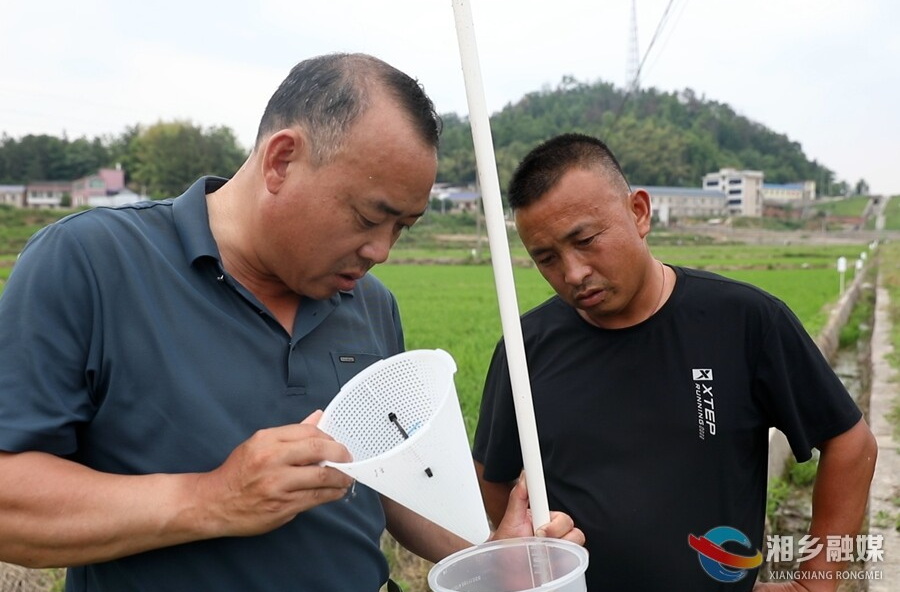 湘乡：“防治双驱”护粮田 助稳产
