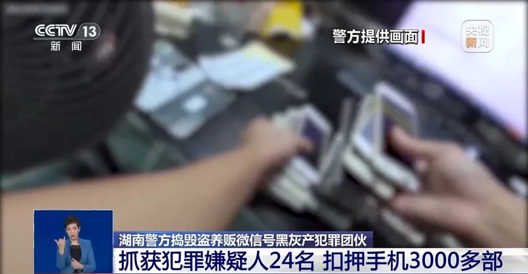 央视报道！湖南湘潭公安捣毁盗养贩微信号黑灰产犯罪团伙