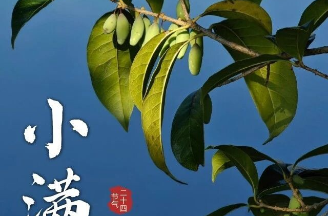 今日小满 | 小得盈满，幸福美满~