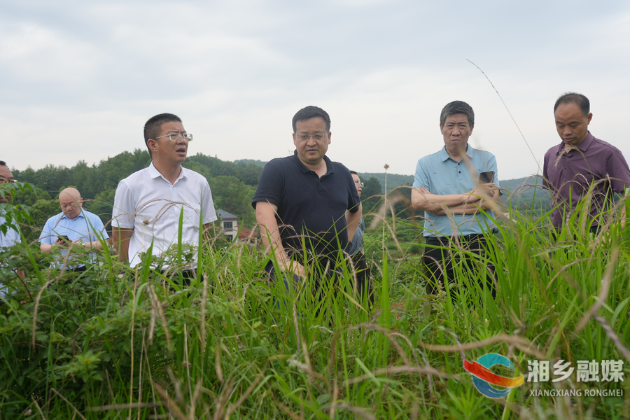 【三听三问】郭勇：全面落实最严耕地保护制度 守牢粮食安全底线