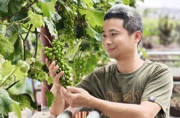 湘乡新农人“解锁”种植新技术，匠心培育甜蜜葡萄
