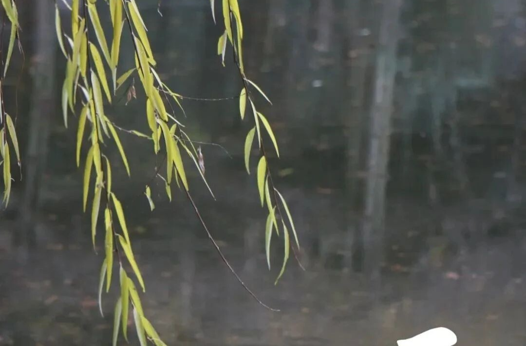 考生们注意！高考期间湘乡将有一次较强降雨过程！