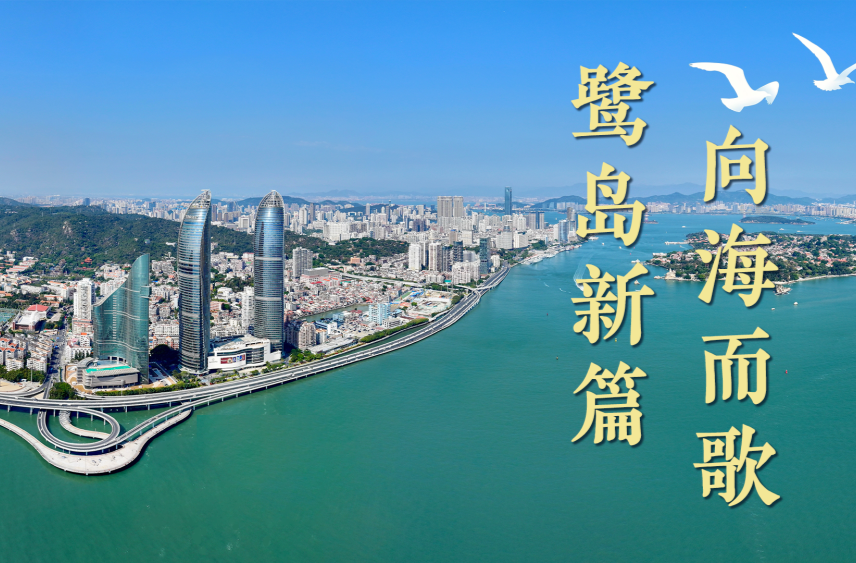微视频｜鹭岛新篇 向海而歌