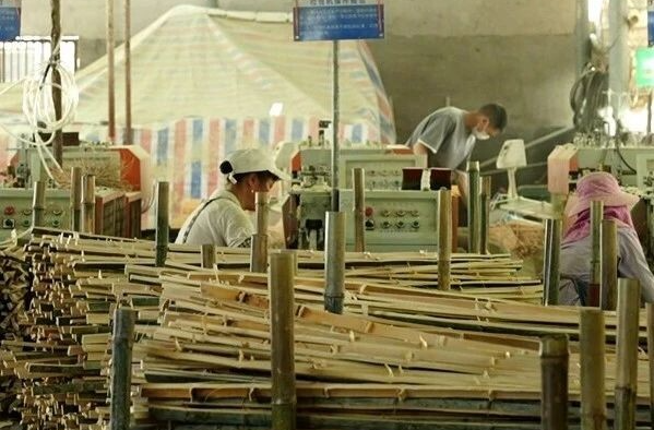 年产值超1000万元！栗山镇巴江村打造乡村振兴的“绿色银行”