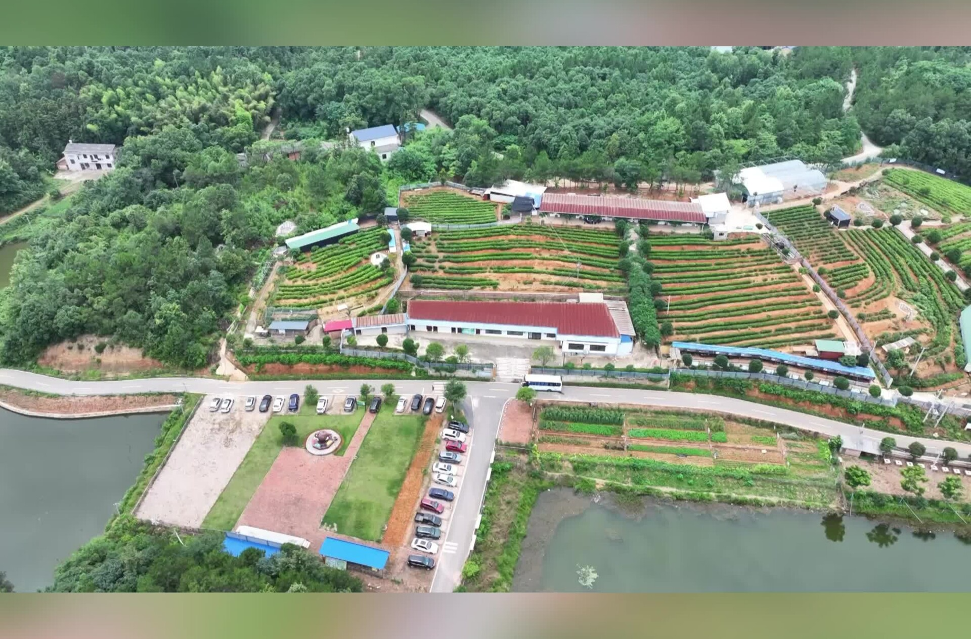 “田间课堂”开进茶园 赋能茶产业提质增效