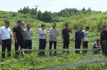 6月18日湘乡新闻