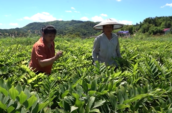 7月4日湘乡新闻